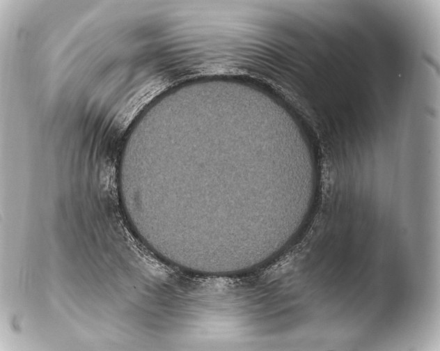 X0000103910881200810031210