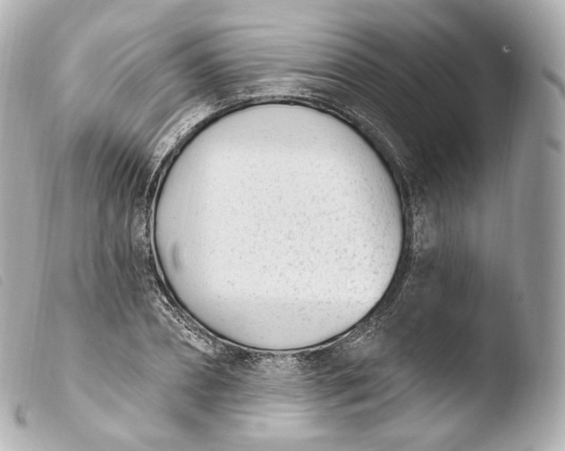 X0000103910882200810031210