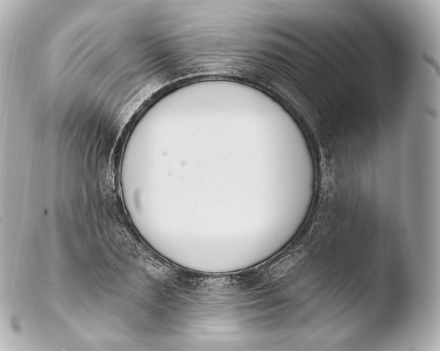 X0000103910883200810031210