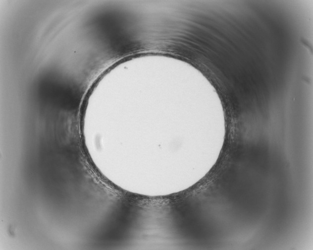 X0000103910884200810031210