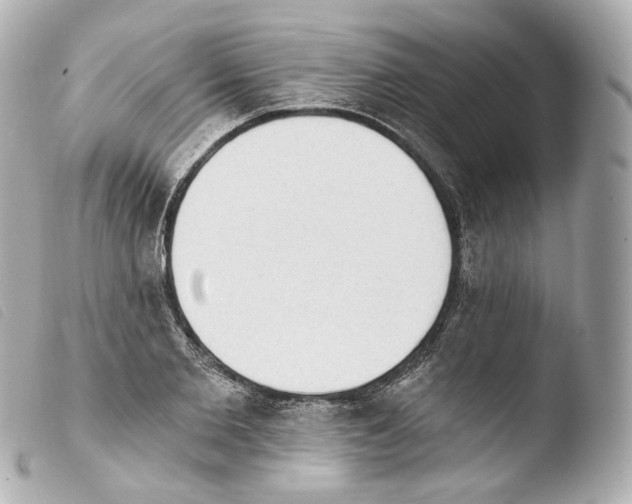 X0000103910885200810031210