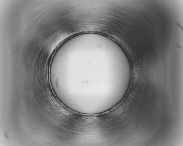 X0000103910886200810031210