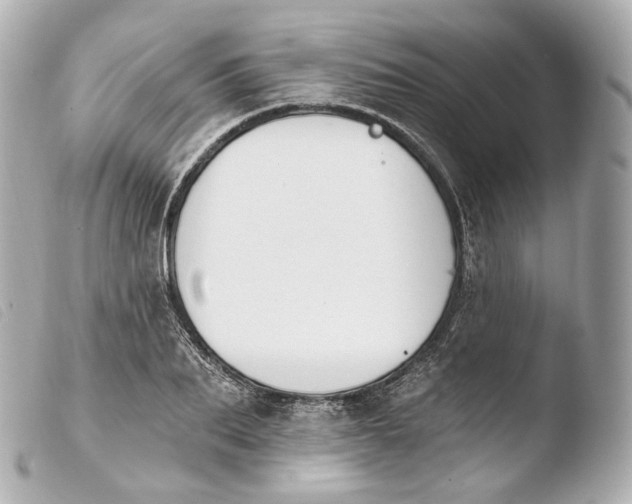 X0000103910887200810031210