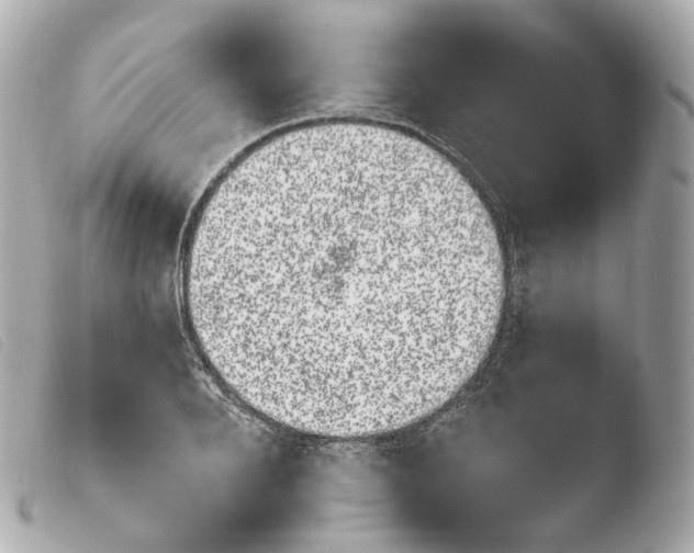 X0000103910888200810031210