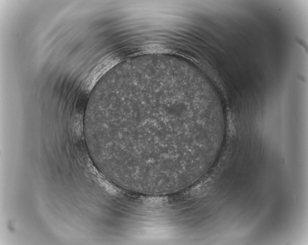 X0000103910889200810031210