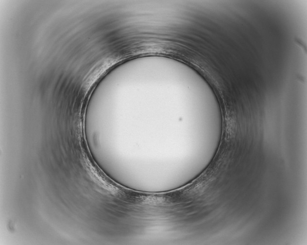 X0000103910890200810031210