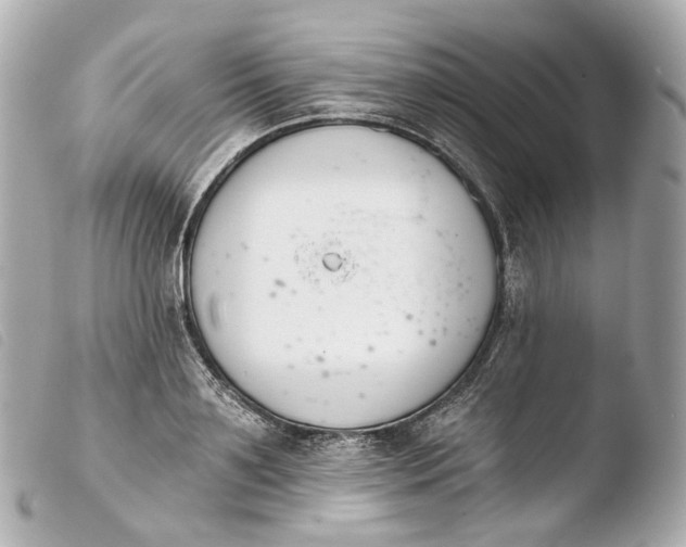 X0000103910891200810031210