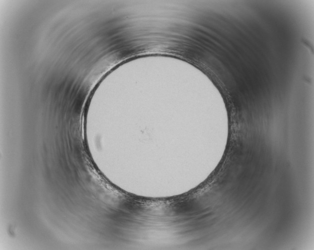 X0000103910892200810031210