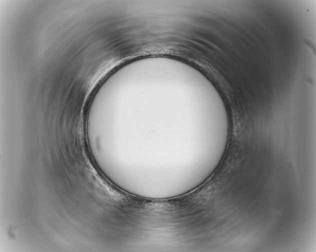 X0000103910894200810031210