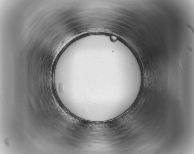 X0000103910895200810031210