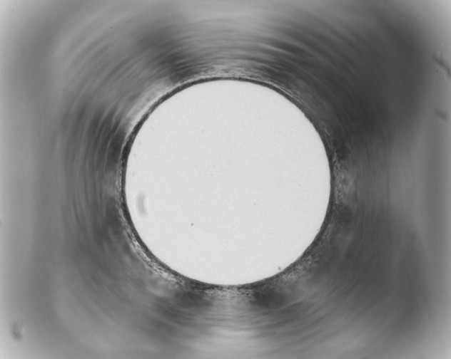 X0000103910896200810031210