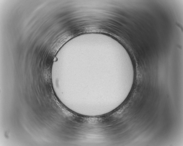 X0000103910897200810031210