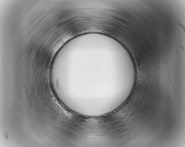 X0000103910898200810031210
