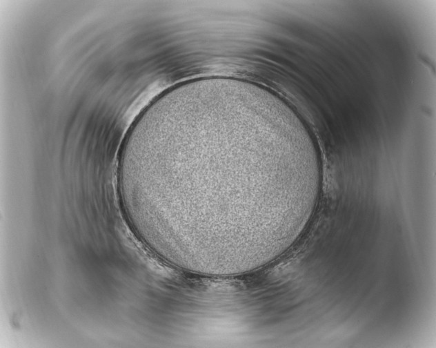 X0000103910899200810031210