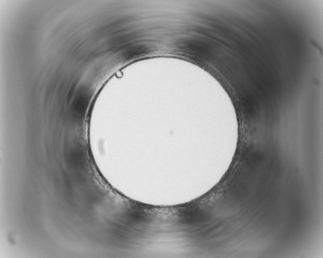 X0000103910900200810031210