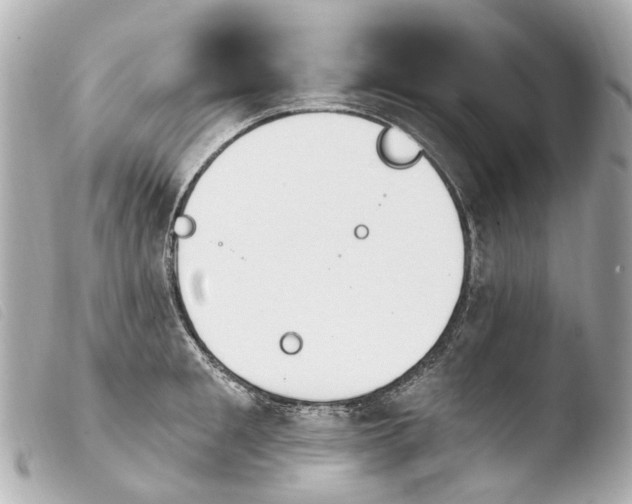 X0000103910901200810031210