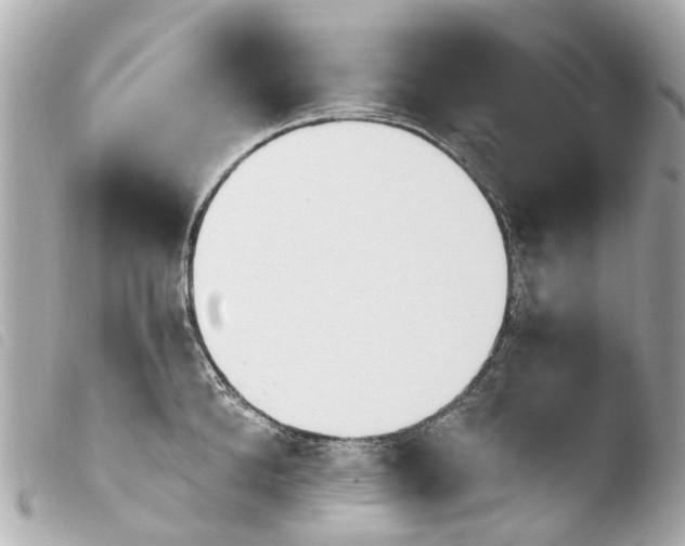 X0000103910904200810031210