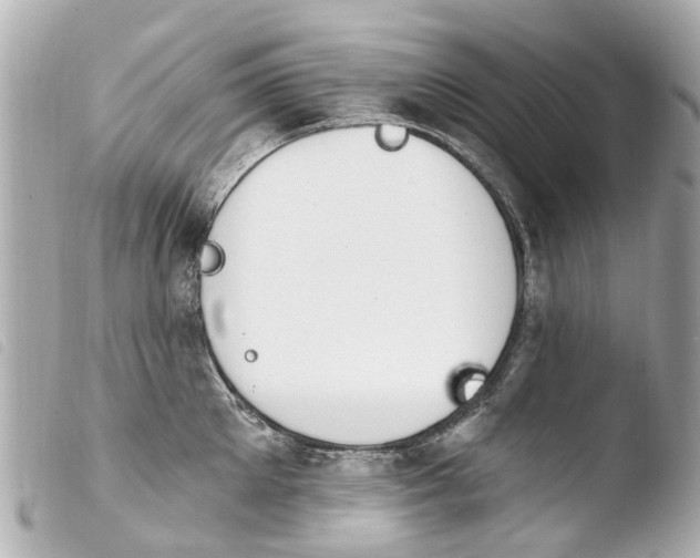 X0000103910905200810031210