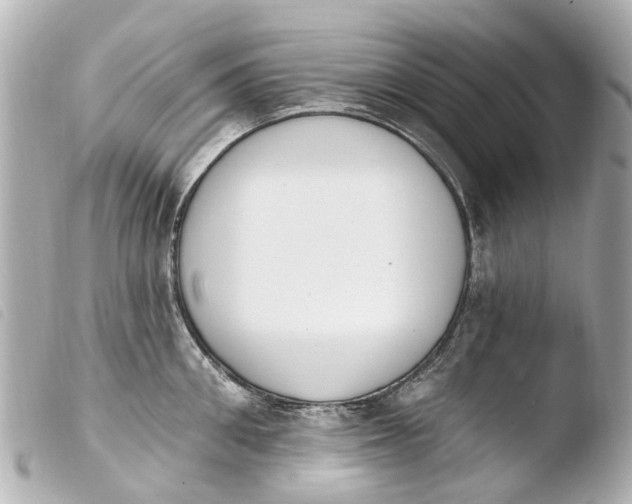 X0000103910906200810031210