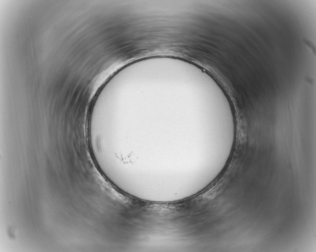 X0000103910910200810031210