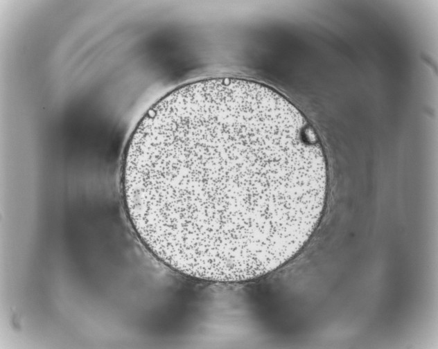 X0000103910912200810031210