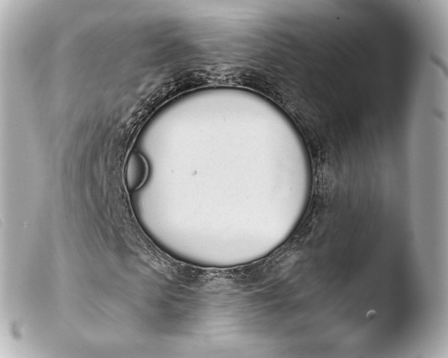 X0000103910913200810031209