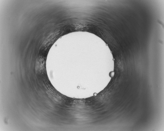 X0000103910914200810031209