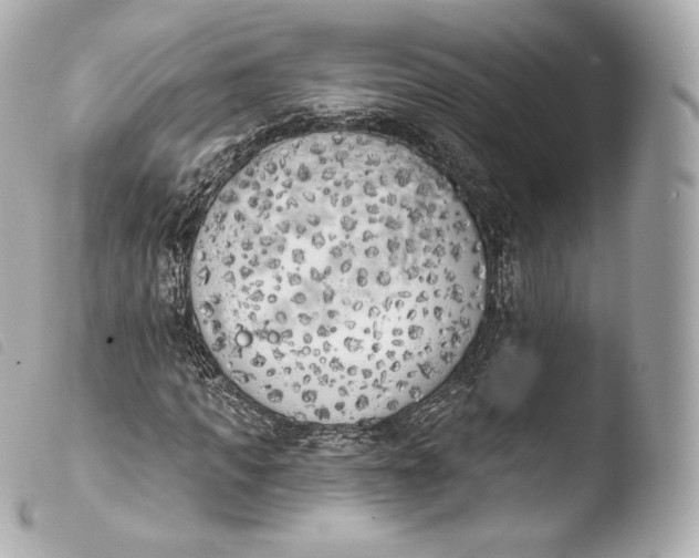 X0000103910917200810031209