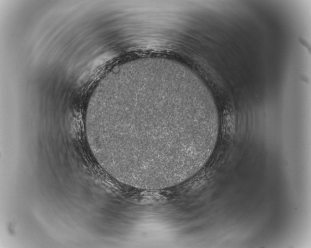 X0000103910918200810031209