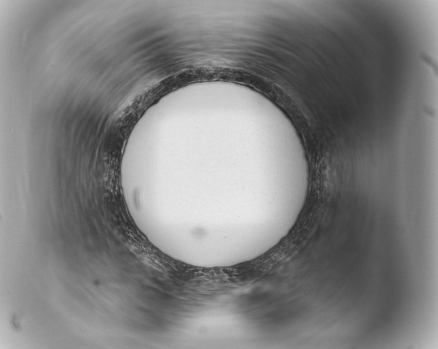 X0000103910919200810031209