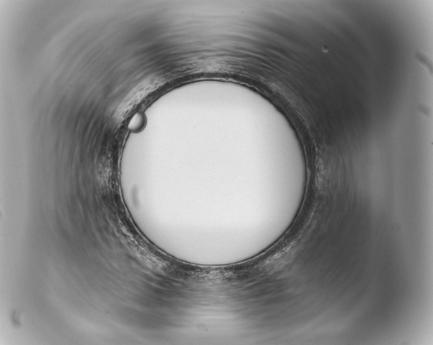 X0000103910922200810031209