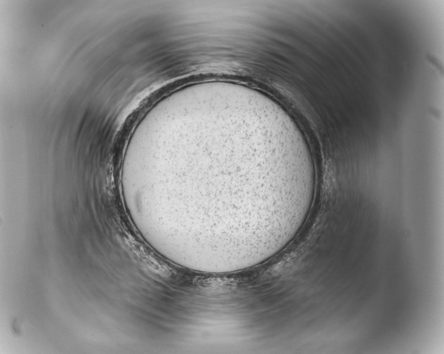 X0000103910923200810031209