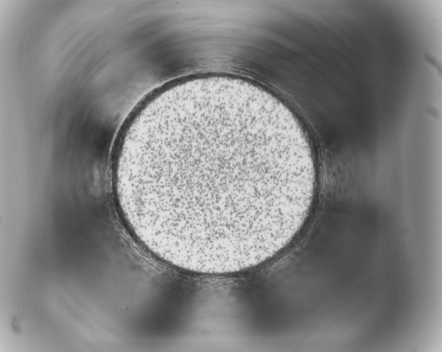 X0000103910924200810031209
