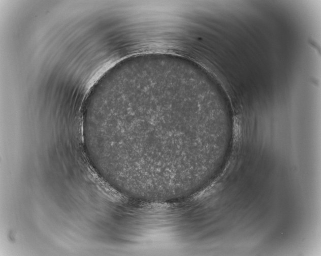 X0000103910925200810031209