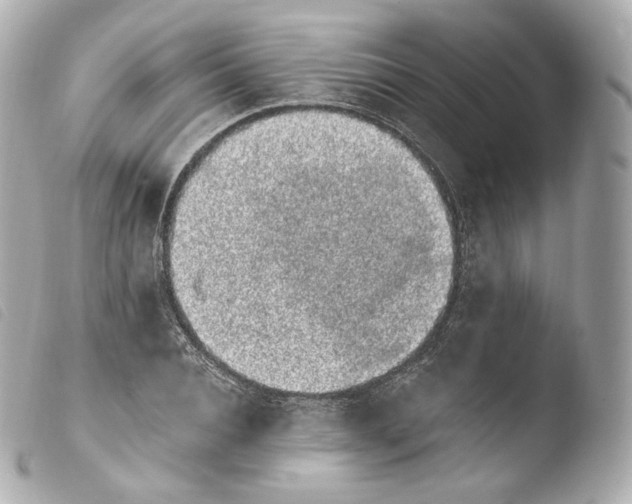 X0000103910928200810031209