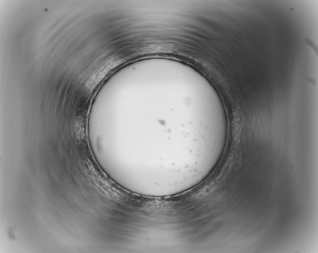 X0000103910929200810031209