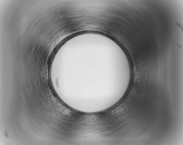 X0000103910931200810031209