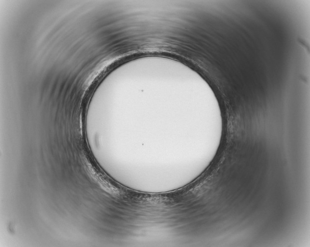 X0000103910934200810031209