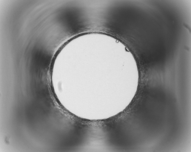 X0000103910936200810031209