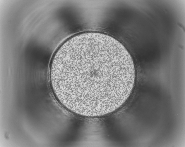 X0000103910940200810031209