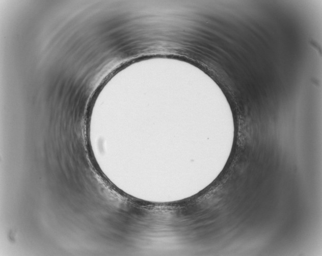 X0000103910942200810031209