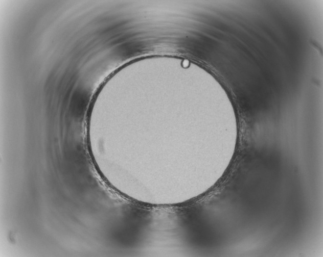 X0000103910944200810031209