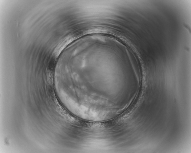 X0000103910945200810031209