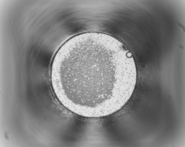 X0000103910948200810031209