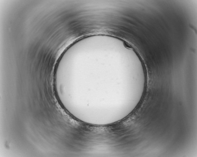 X0000103910949200810031209