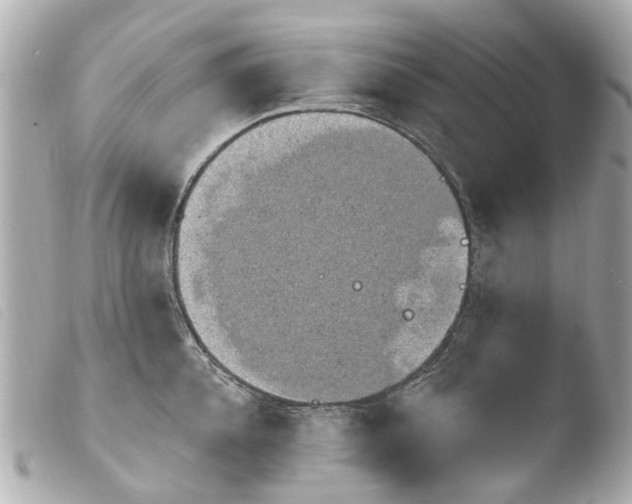 X0000103910952200810031209