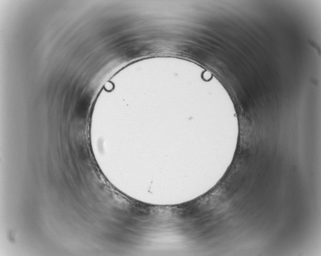 X0000103910956200810031209