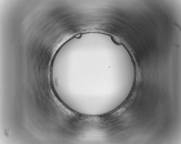 X0000103910957200810031209
