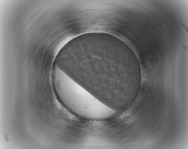 X0000103910958200810031209