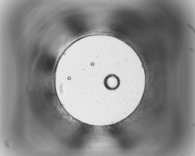 X0000103910960200810031209